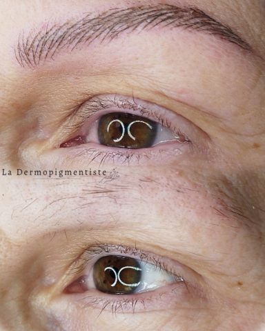 Gros plan sur des yeux avec des cils et des sourcils bien définis.